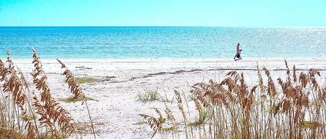 Condo (2 Bedrooms) | Property amenity