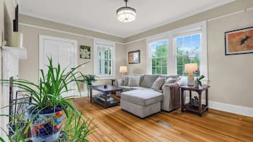 Fernseher, Arbeitsbereiche