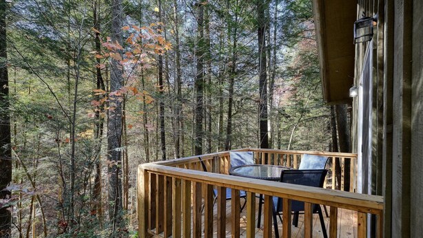A wooden deck with a table and chairs, surrounded by a forest.