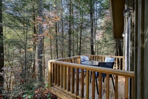 Outdoor dining - Cozy 2-bedroom HILLTOP COTTAGE in peaceful Ellijay with AC, WiFi (Ellijay)