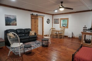 TV, video games, books - Cozy 2-bedroom HILLTOP COTTAGE in peaceful Ellijay with AC, WiFi (Ellijay)