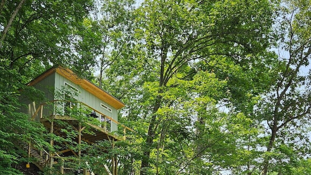 Un pont en bois mène à un bâtiment surmonté d’un toit végétalisé, entouré d’une végétation luxuriante et bordé par un plan d’eau.
