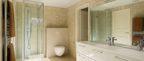 A modern bathroom with a glass shower enclosure, a white toilet, and a vanity with a large mirror.