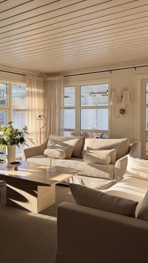 Smart TV, fireplace, books, stereo