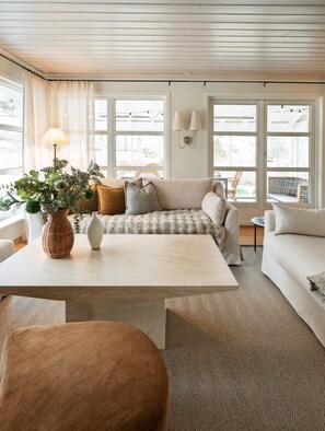 TV connectée, cheminée, livres, chaîne hi-fi