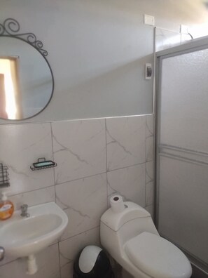 Shower, towels, toilet paper