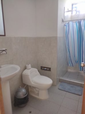Shower, towels, toilet paper