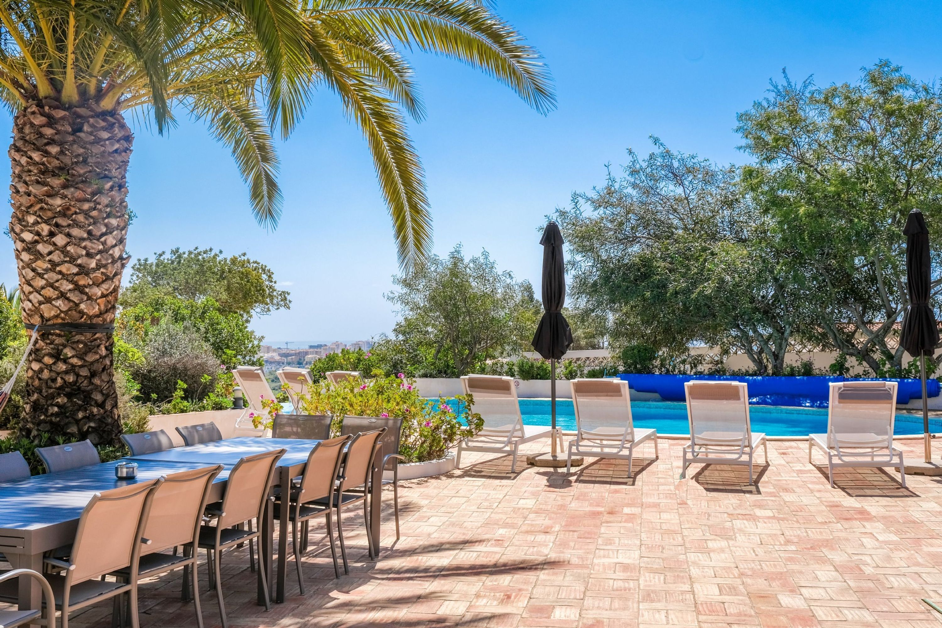 Zona junto a la piscina con sillones de descanso y una mesa de comedor, rodeada de palmeras y vista al mar.
