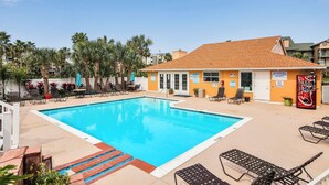 A rectangular swimming pool with a tiled deck, surrounded by lounge chairs and palm trees.