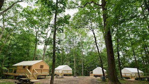Een camping met drie koepeltenten, houten dekken, picknicktafels en een natuurlijke bosrijke omgeving.