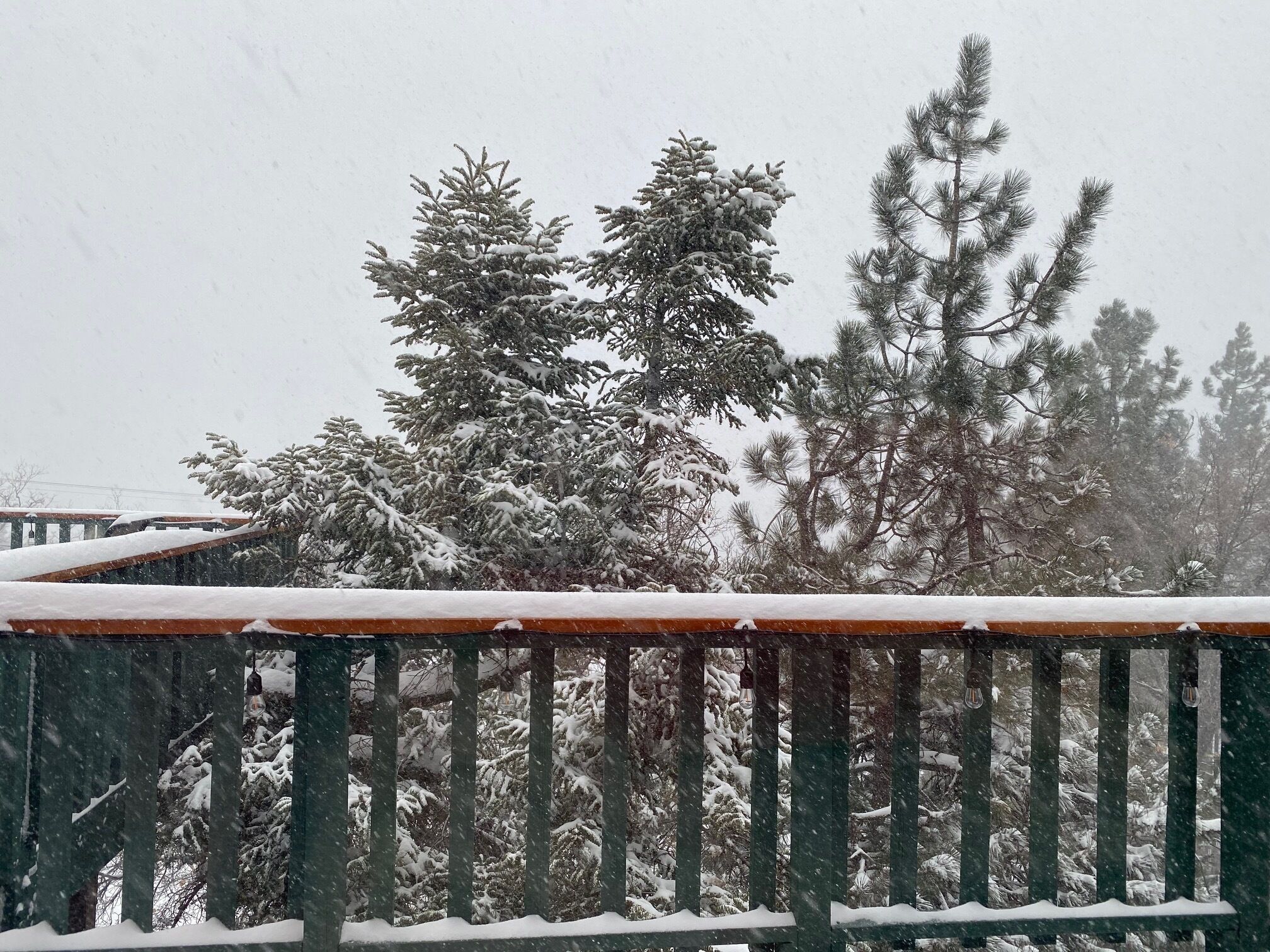 A snow-covered balcony with a railing, surrounded by trees.