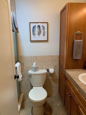 Douche, séchoir à cheveux, serviettes fournies, savon