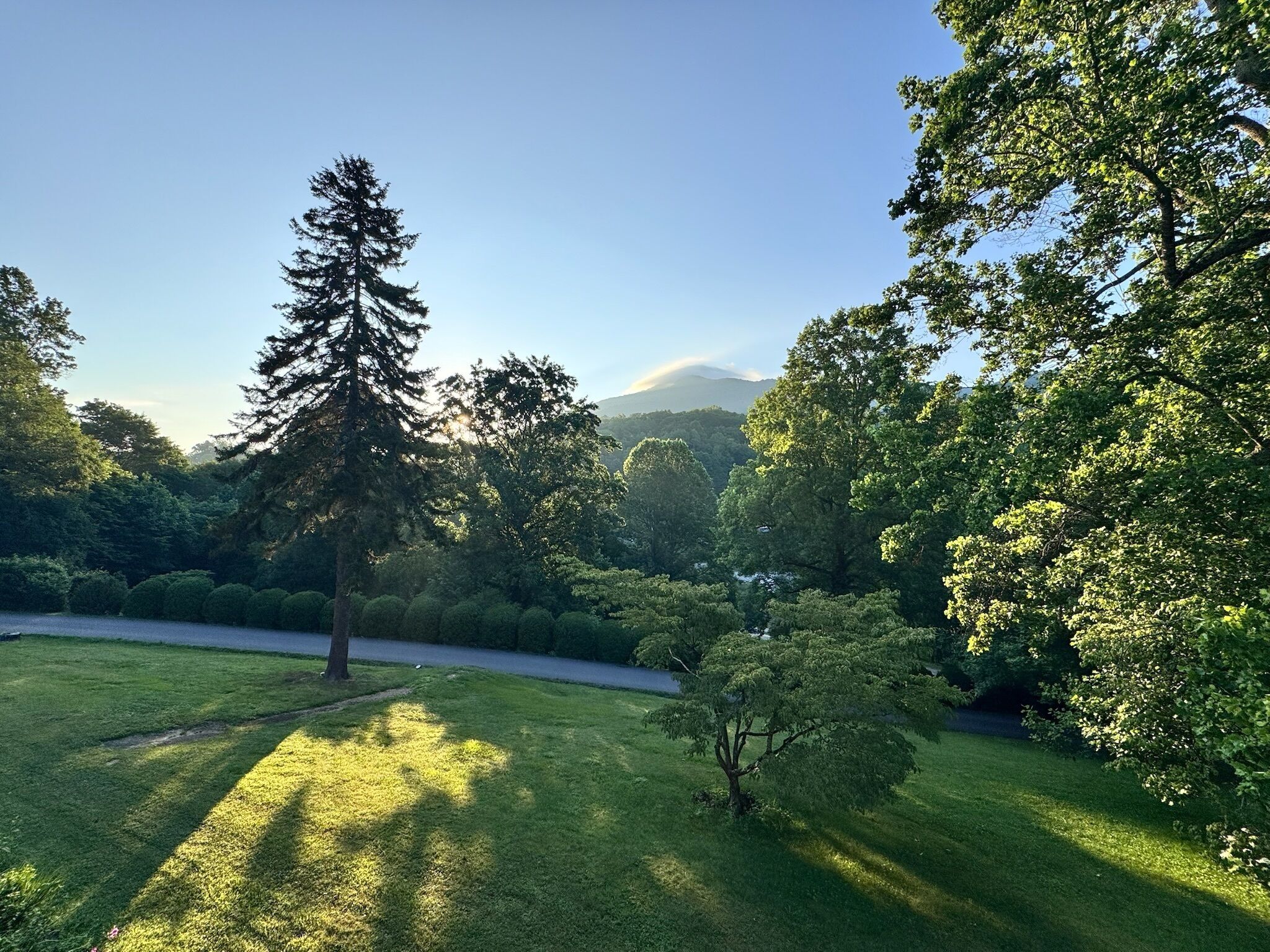 A park with a variety of trees, a winding path, and a distant mountain range.