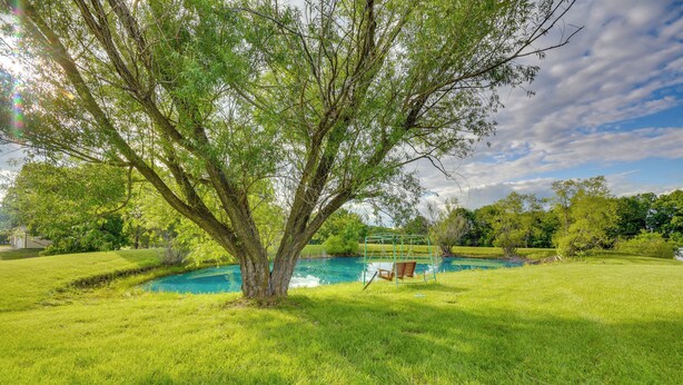 Ein Garten mit Bäumen, einer Schaukel und einem kleinen Teich.
