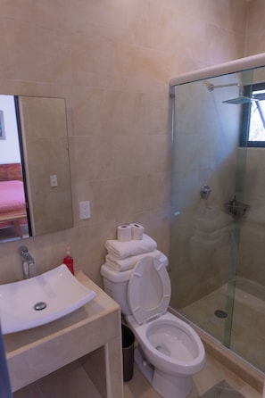 Shower, towels, soap, toilet paper