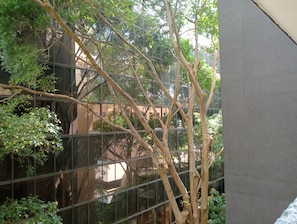 Vista da propriedade