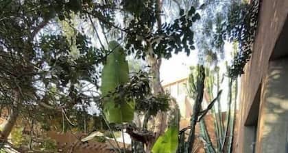 Luxury Riad : Jacuzzi, Seaview & Breakfast