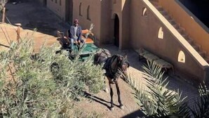 A building with a courtyard, a staircase, and a person sitting on a bench. - Skoura Ranch - Palmeraie (Skoura)