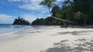 A beach with white sand, palm trees, and a clear blue sky. - "Stalley House" Beachfront, 6bd, Pool, Maid, Cook, SUV's, 7 Kayaks (Jaco)