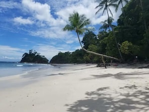 Liegestühle, Strandtücher