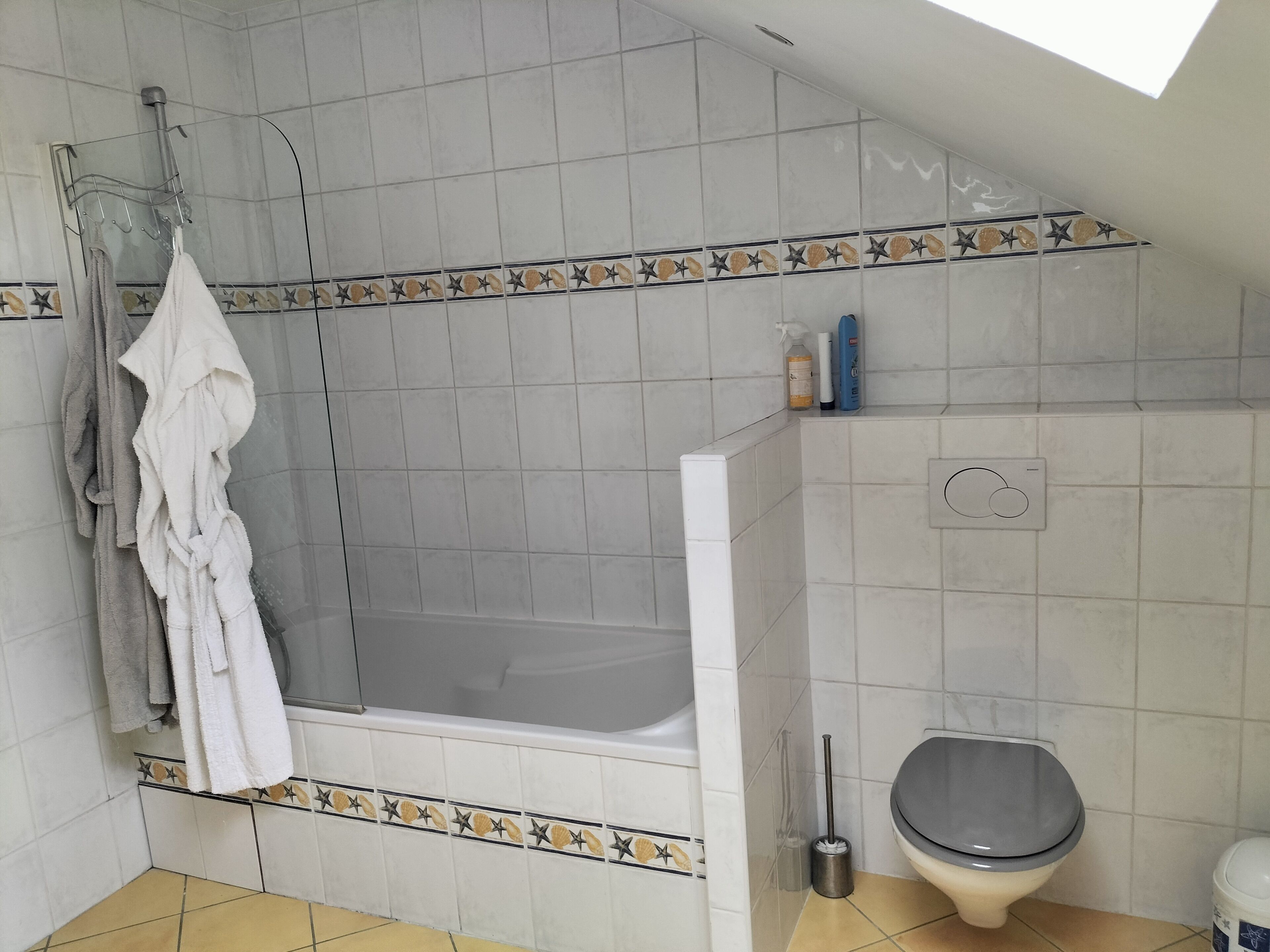 Dusche, Haartrockner, Toilettenpapier