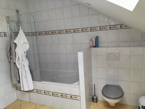 Shower, hair dryer, toilet paper