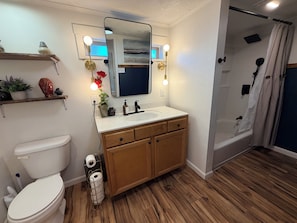Bathroom - Cozy 1-bedroom home with kitchen and laundry in charming Lobelville (Lobelville)