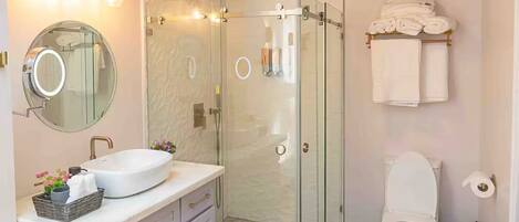 Une salle de bain moderne avec une douche à parois de verre, un lavabo blanc et des toilettes.