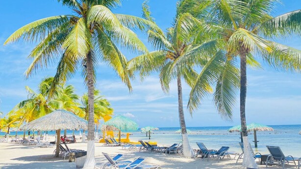 On the beach, white sand, beach bar - Las Palmas Cabins (Dixon Cove)