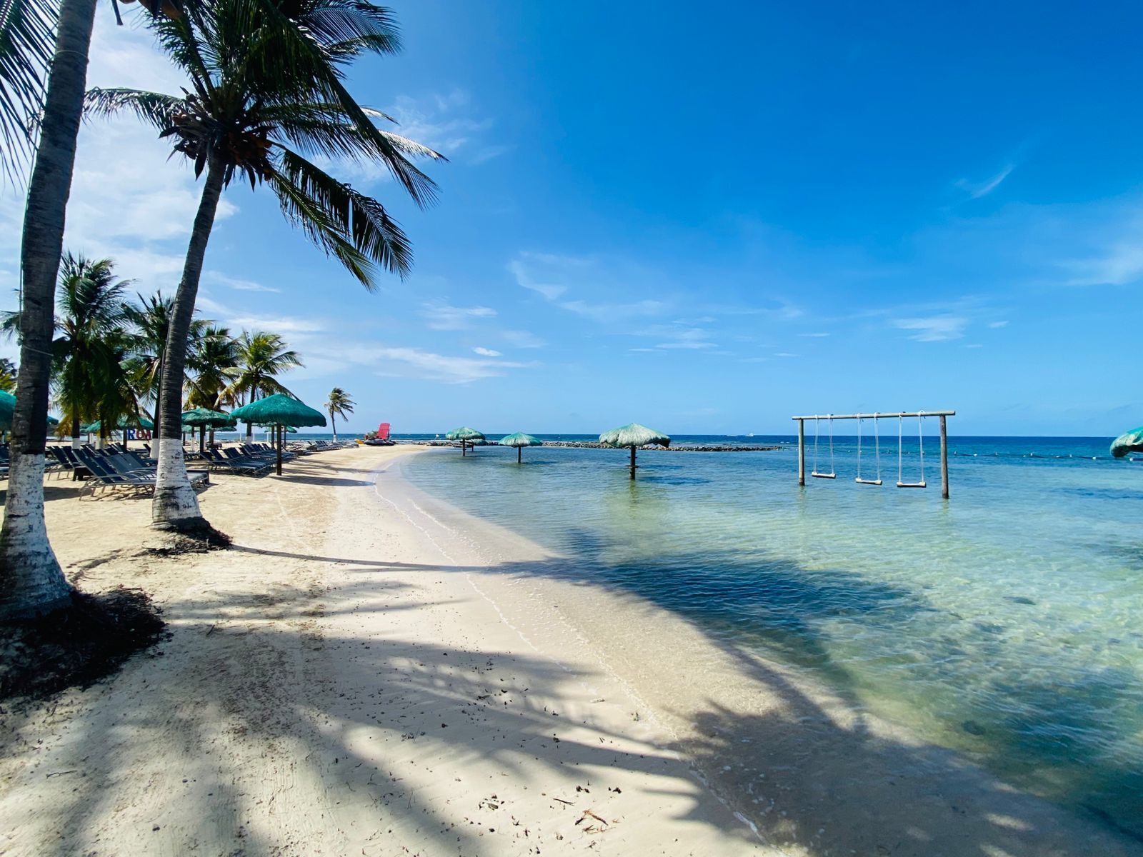 A beach with clear water, palm trees, and a swing set.