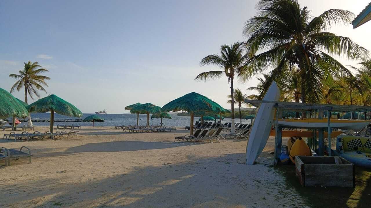 Una playa con palmeras, sombrillas, sillas de descanso y un barco a lo lejos.