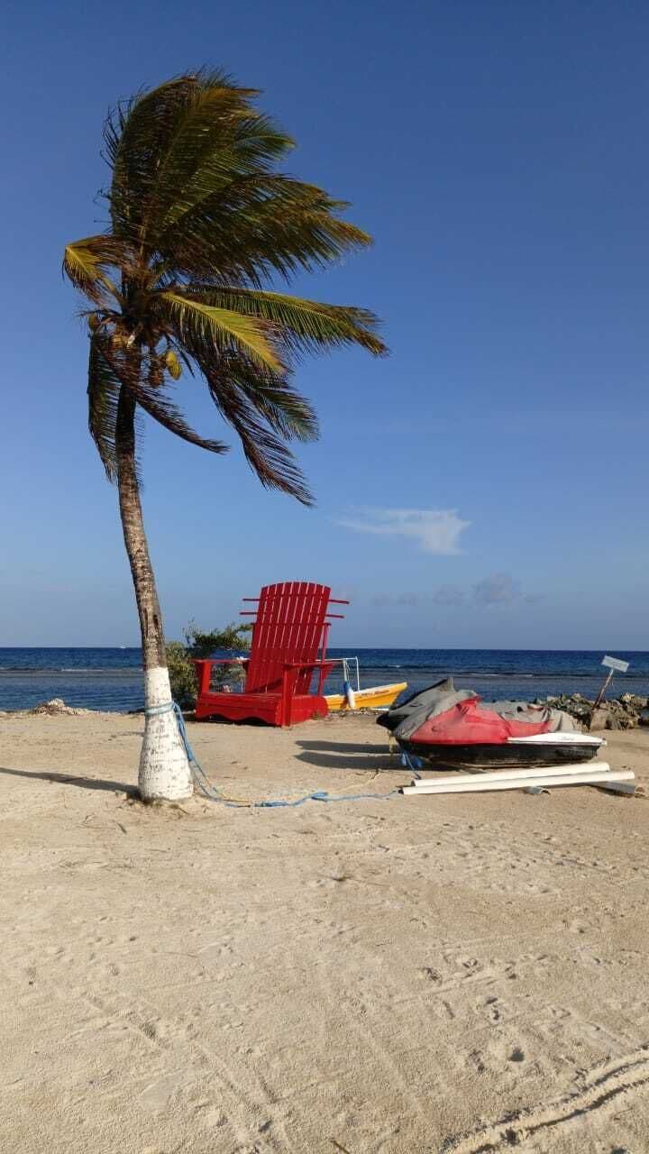 Una spiaggia con una palma, una sedia rossa e una barca sulla sabbia.