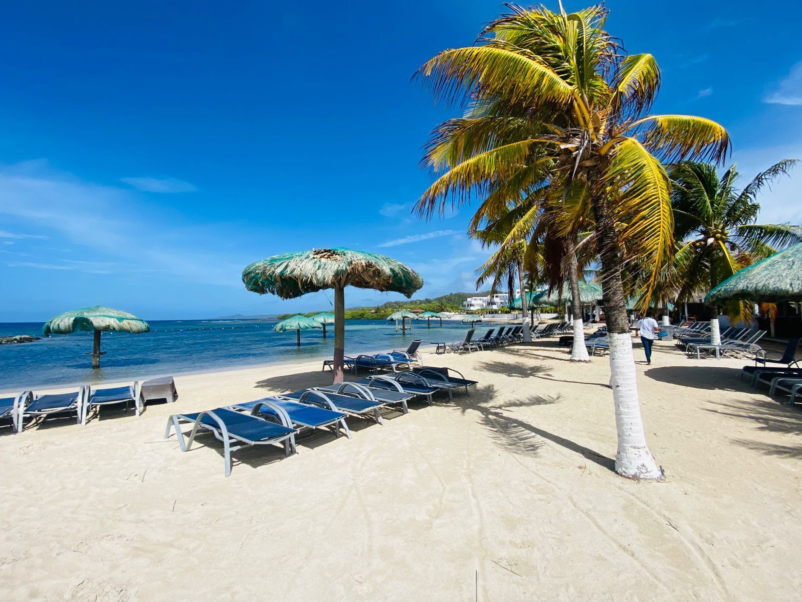 Una playa con sillas de playa, palmeras y sombrillas.