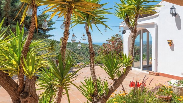 A patio with palm trees, a white building, and a view of the landscape.