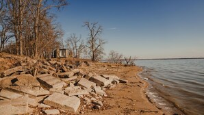 A beach with a rocky shoreline and leafless trees.