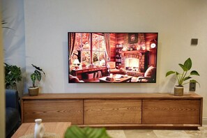 Televisión 