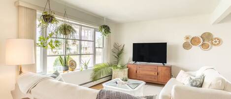 Smart TV, video games, computer monitors