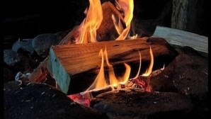 A campfire with logs and burning embers. - Turey Forest Camping Near Bethel Woods - 15 minutes to Bethel Woods, Casino, (Harris)