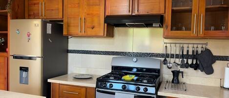 Fridge, oven, stovetop, coffee/tea maker