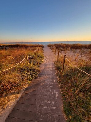 A wooden pathway leading to a beach, flanked by grass and ropes.