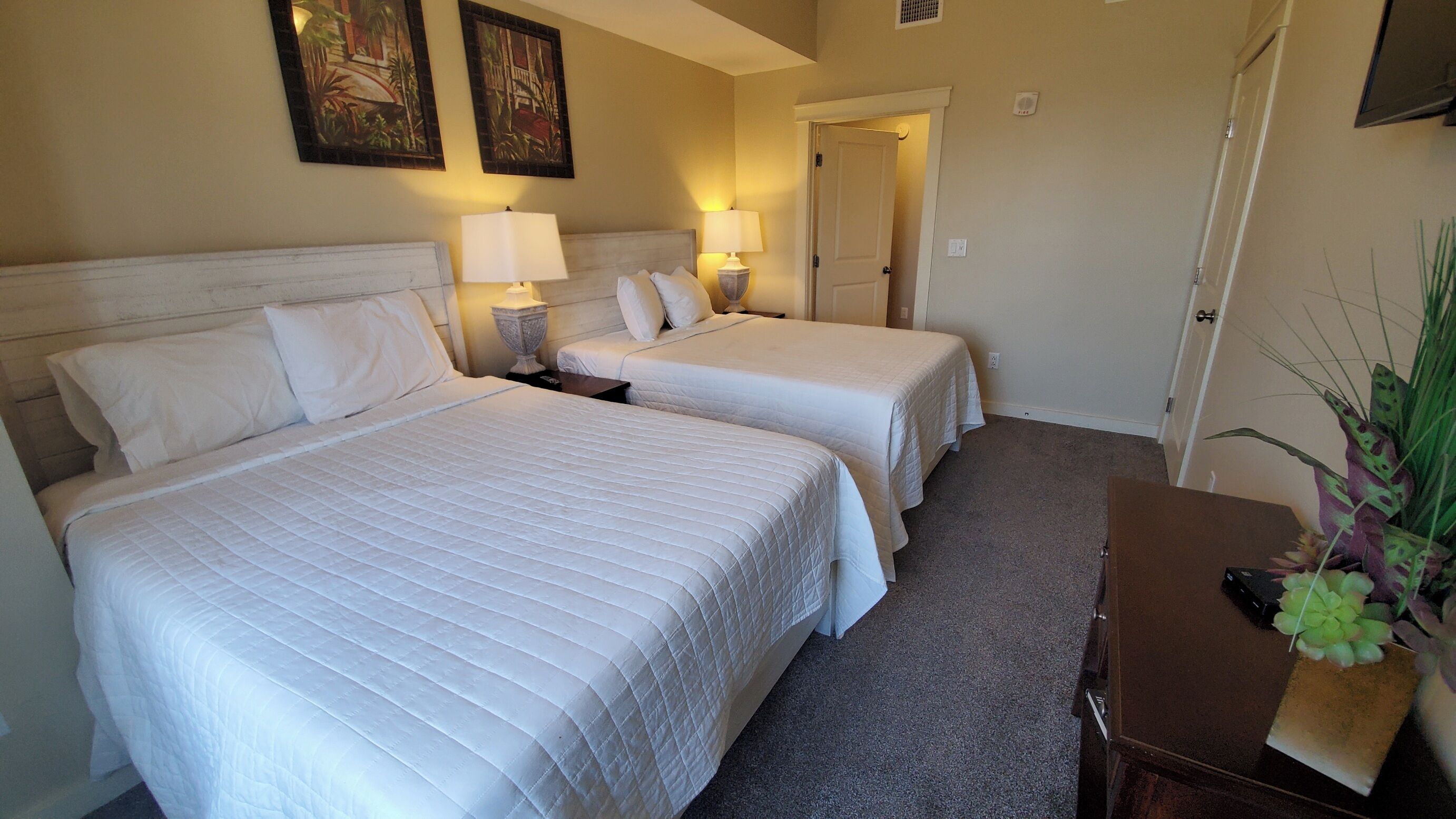 A hotel room with two beds, a nightstand, a lamp, a door, and a plant.