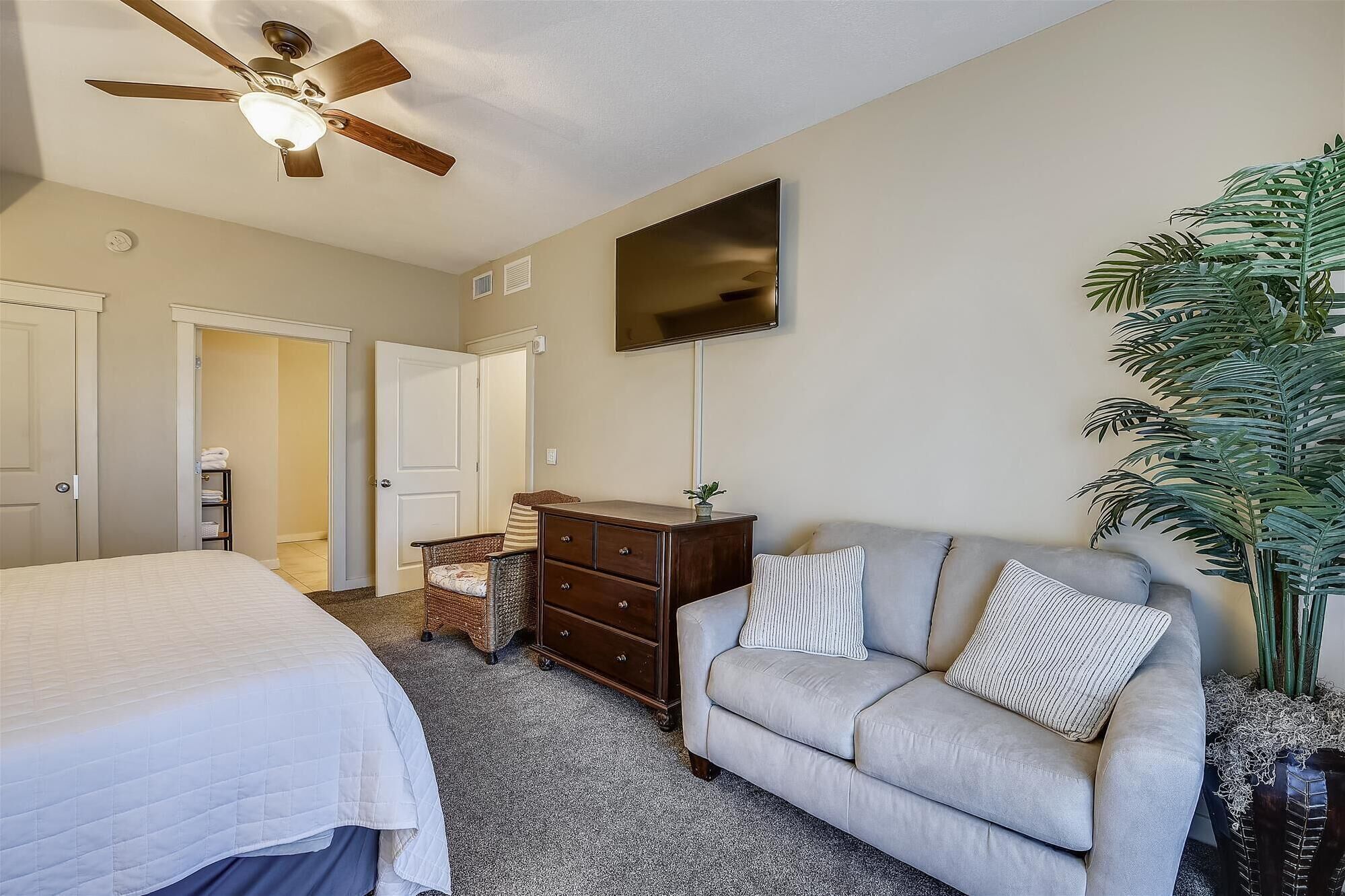 A bedroom with a bed, a dresser, a sofa, a ceiling fan, a TV, and a large plant.