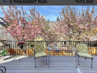 Cheerful 4 bedroom house with gym access