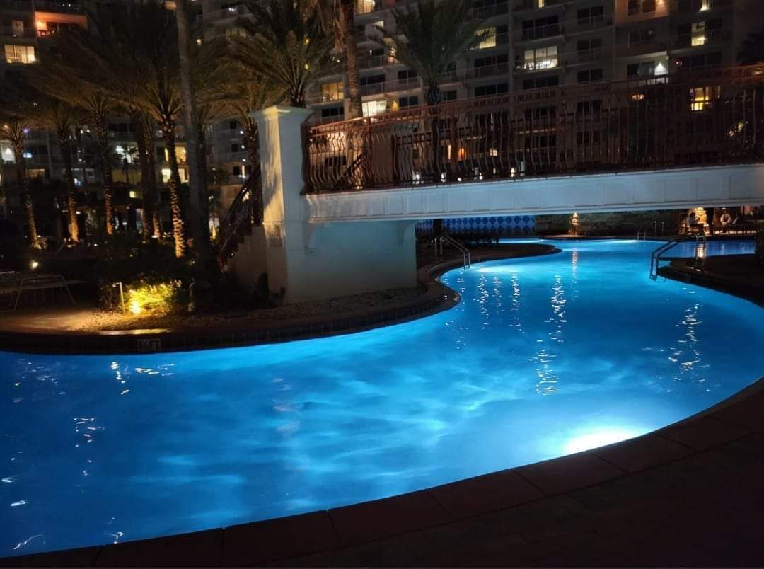 Una piscina nocturna de vora corbada, envoltada de palmeres i un edifici al fons.