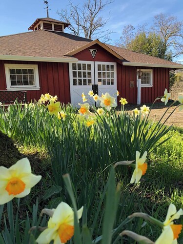 Charming Historic Apartment Cottage at  Ridgewood Ranch