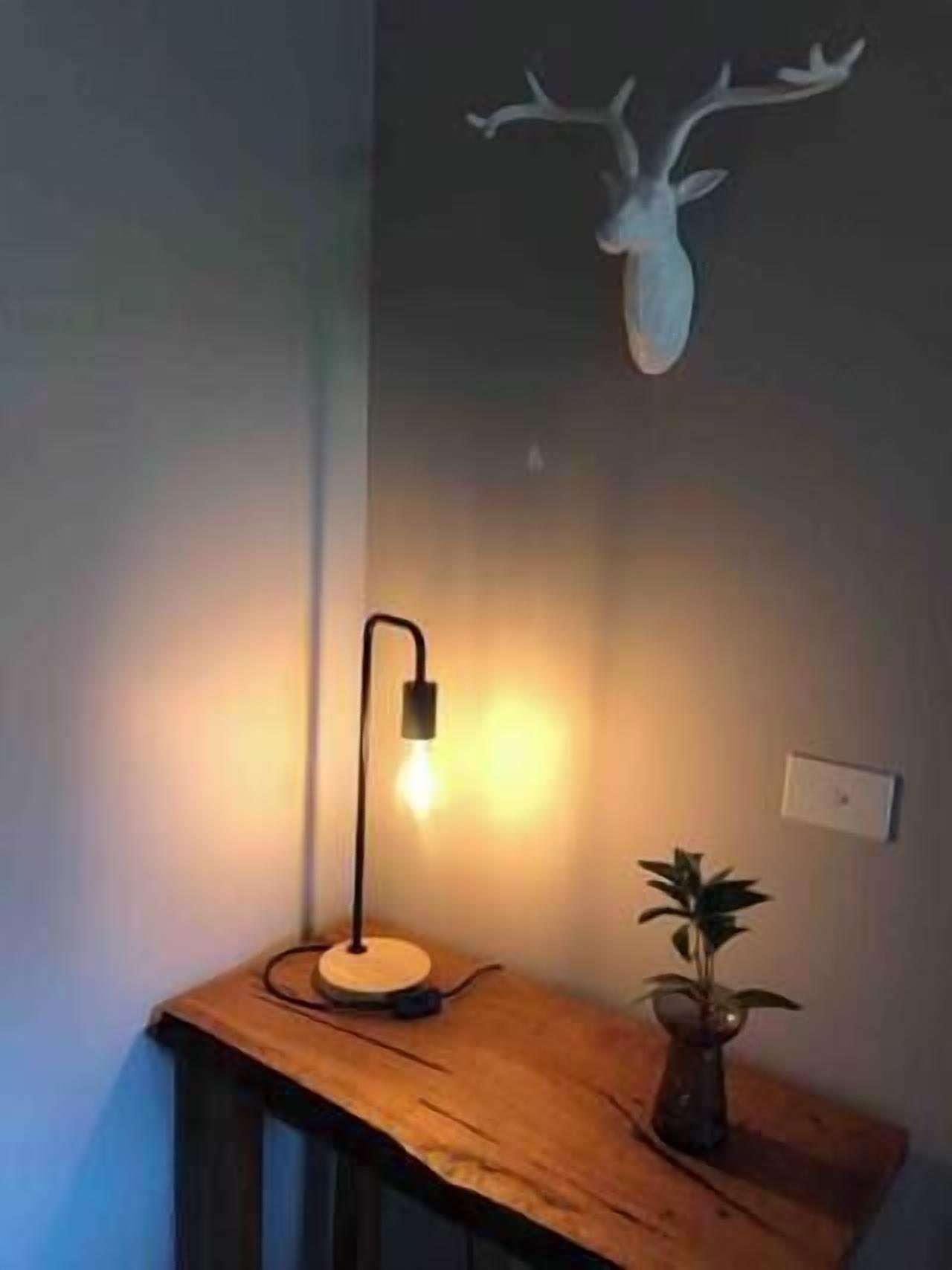 A wooden table with a lamp, a wall-mounted deer head decoration, and a potted plant.