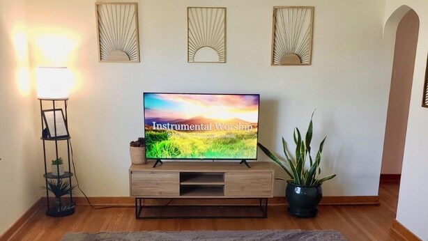 Ein Wohnzimmer mit Fernseher auf einem Holzboden, einer Stehlampe, einem Blumentopf und einem Sofa.