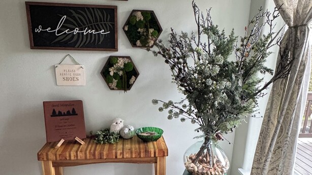 A wooden bench with a sign, hexagonal wall decorations, a welcome sign, and a potted plant.