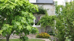 A house with a grey roof, a window with a white shutter, and a garden with green foliage and yellow flowers.