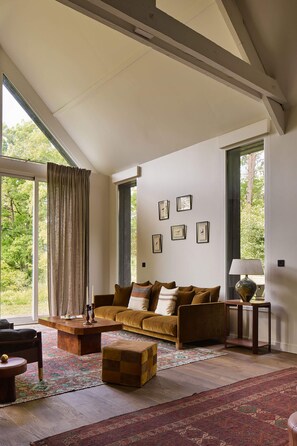 TV, fireplace, books, stereo